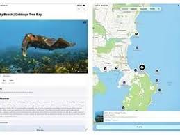 Image result for DeeperBlue.net Tribe (South London)