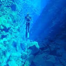 Image result for Blue Water Freediving School