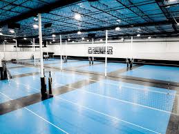 Image result for Tendring Volleyball Club