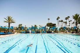 Image result for Portway Swimming Club