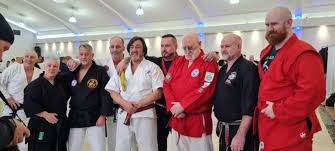 Image result for A BRITISH JUJITSU RYU in Lancing