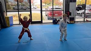 Image result for Awesome Martial Arts Training Center