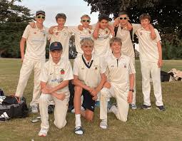 Image result for Ipsden Cricket Club