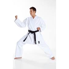 Image result for Sandokai Karate