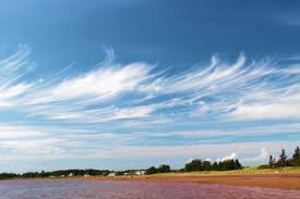 Attēlu rezultāti vaicājumam “Cirrus fibratus”