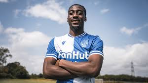 Image result for Bristol Dockers