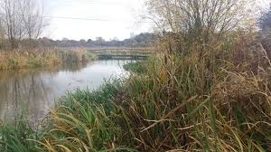 Image result for Dunham Massey Angling Club