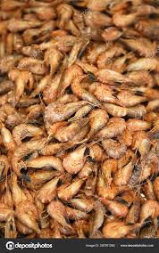 Attēlu rezultāti vaicājumam “Crangon crangon”