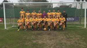 Image result for Torpoint Athletic Football Club
