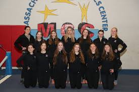 Image result for Hull High Flyers Gymnastics Club
