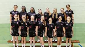Image result for Onslow Pink Panthers Junior Netball Club