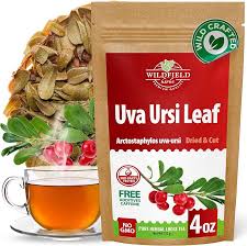 Attēlu rezultāti vaicājumam “Arctostaphylos uva-ursi leaf”