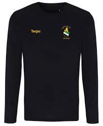 Image result for Hayle Rugby Football Club