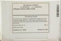 Attēlu rezultāti vaicājumam “Drepanocladus trifarius”