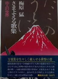 「柿本人志」の画像検索結果