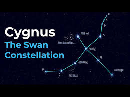 Attēlu rezultāti vaicājumam “Cygnus”