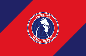 Image result for Dorking Football Club Limited