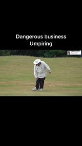 Image result for Grayshott Cricket Club