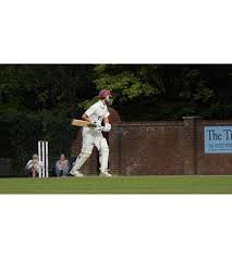 Image result for Thriplow Cricket Club