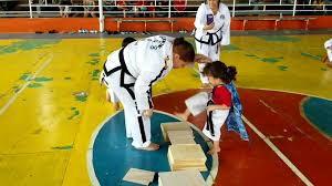 Image result for Breakthrough Tae Kwon Do