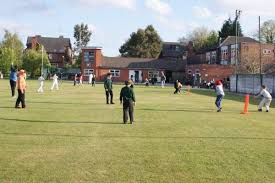 Image result for South Weald Cricket Club