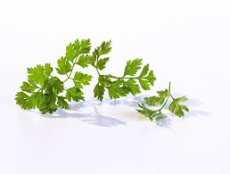 Image result for Kerbel