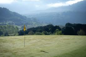 Image result for Wolds Gc