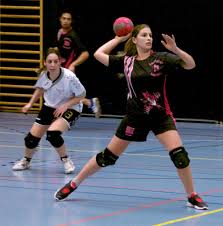 Image result for Liphook Tchoukball Club