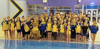 Image result for Stevenage Swimming Club