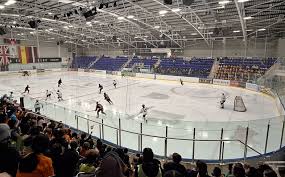 Image result for Sheffield Wildcats Rink Hockey and Roller Skating Club