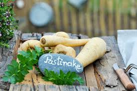 Image result for Pastinake