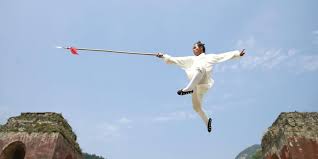 Image result for kung fu