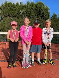 Image result for Limpsfield Lawn Tennis Club