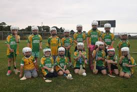 Image result for St Patrick`s Gac, Saul