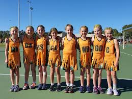 Image result for Wyre Youth Netball Club