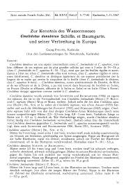 Attēlu rezultāti vaicājumam “Cinclidotus danubicus”