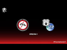 Image result for Deva Handball Club