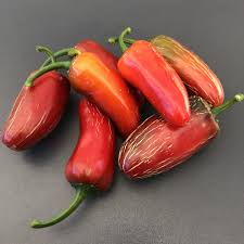 Afbeeldingsresultaat voor biker billy jalapeno hot pepper