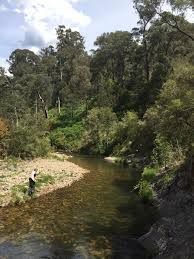 Image result for Kirkham and District Fly Fishers` Club