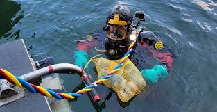 Image result for Dive Crew Scuba Diving
