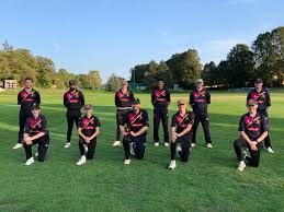 Image result for Walton Working Men Cricket Club