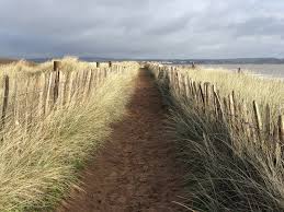 Image result for Dawlish Sc