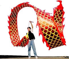 Image result for TRIANGLE CHANGQUAN FLYING DRAGON
