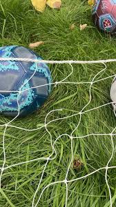 Image result for Rayleigh boys under 7's Leopards- need a Goalie!