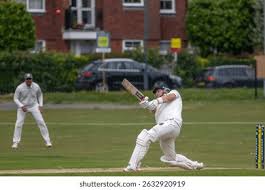 Image result for Bolney Cricket Club