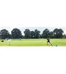 Image result for Buckie Cricket Club