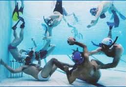 Image result for Teddington Sub-Aqua Club