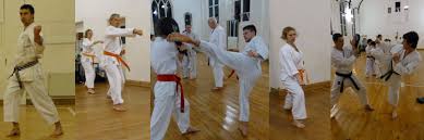 Image result for Exeter Shotokan Karate Club