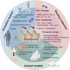 Image result for %E1%83%99%E1...tart=40