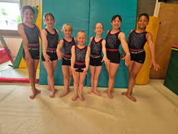 Image result for Haverfordwest Gymnastics Club